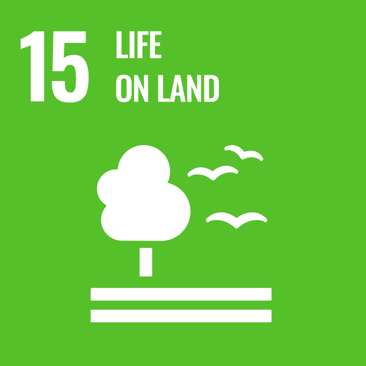#SDG15