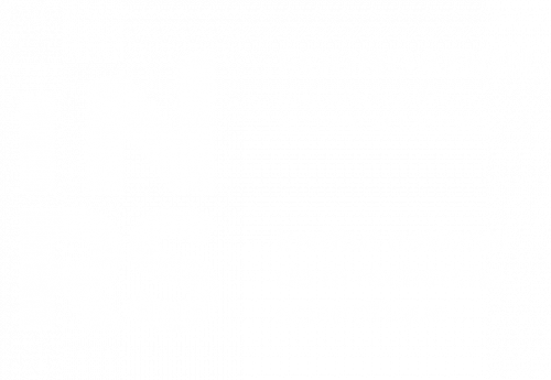 INRS Foundation